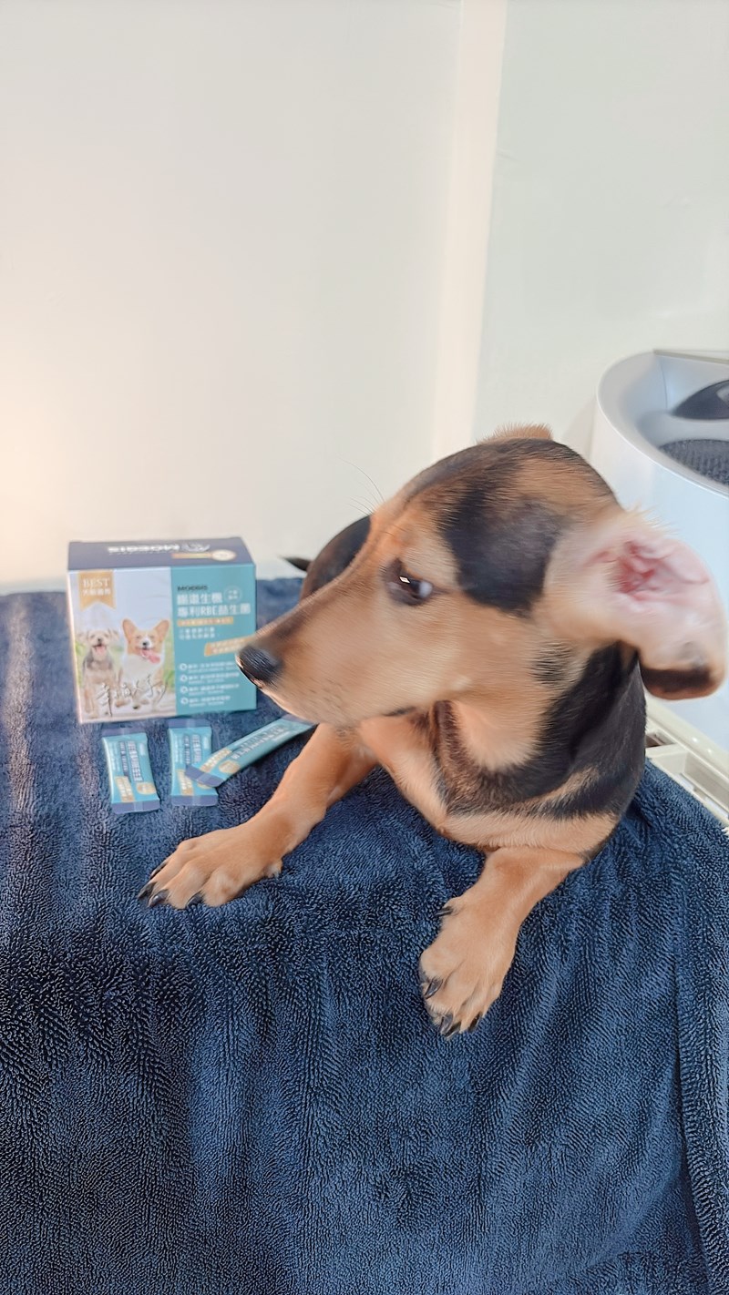 女人知己試用大隊,口碑行銷,部落客行銷,Moegis萌吉 腸道生機專利RBE益生菌,寵物益生菌,專利RBE益生元,專利蔬果酵素,小分子胜肽,藍藻粉,維持免疫力,幫助維持消化道機能,維持正常食慾,改變細菌叢生態,腸胃保健,犬貓適用